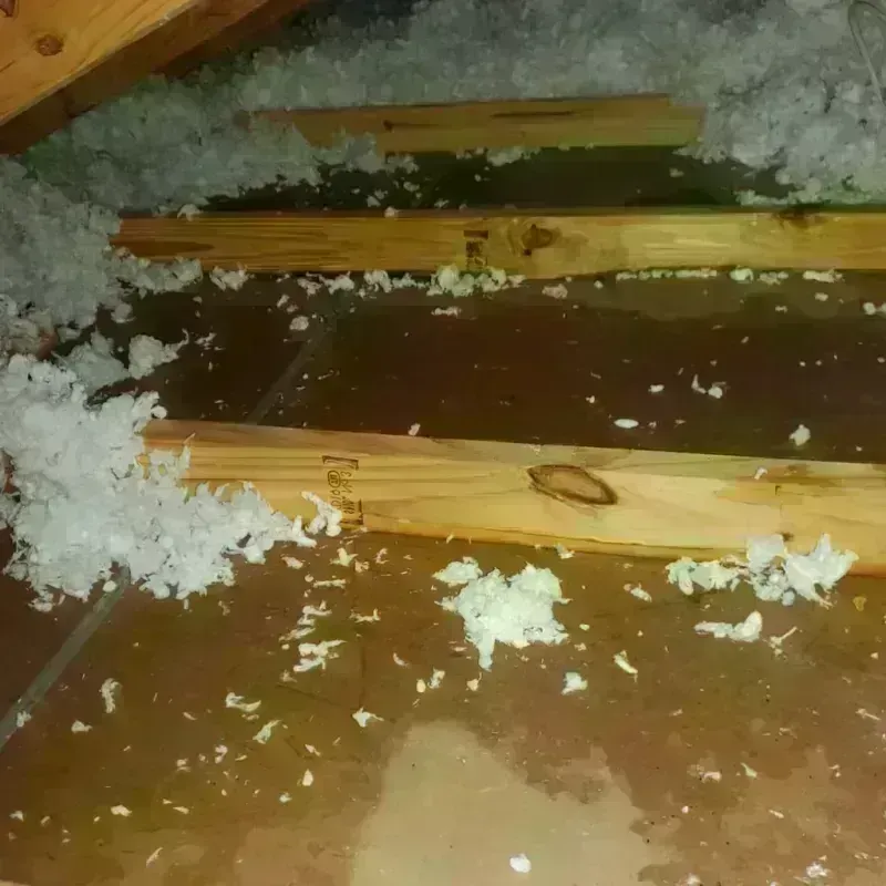 Attic Water Damage in Saucier, MS