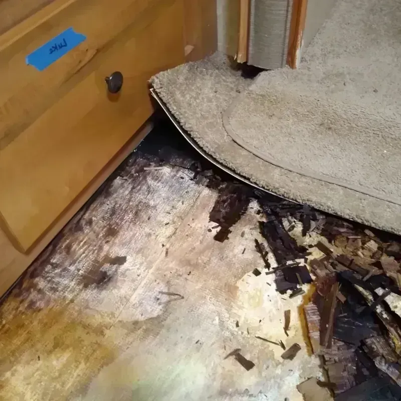 Wood Floor Water Damage in Saucier, MS